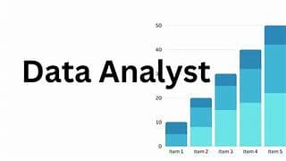 Data analyst